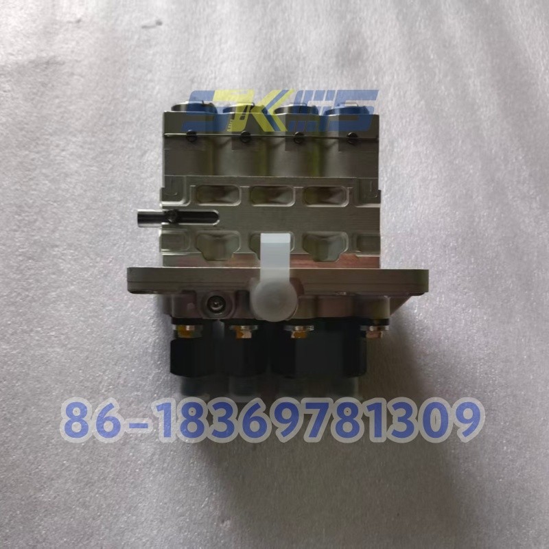 Wholesale High Quality CAT Fuel Injector Pump 342-4287 for Engine C2.2 3024C 3424287